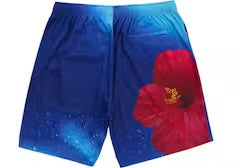 Supreme Fiji soccer shorts